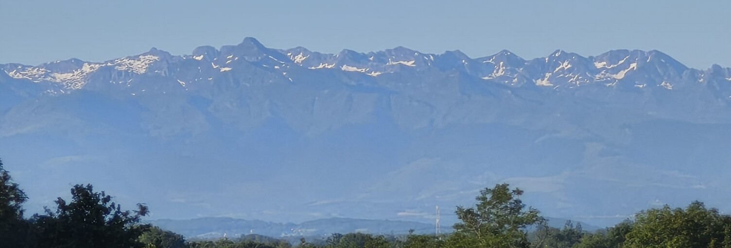 Photo N° 2