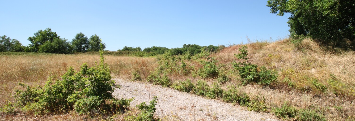 Terrain  2217 m² à vendre à La Sauzière-Saint-Jean (81630)