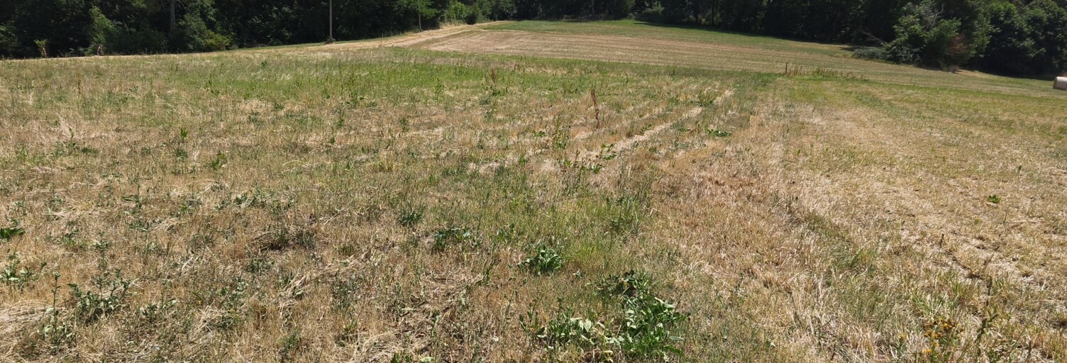 Terrain  1700 m² à vendre à Saint-Avit-Sénieur (24440)