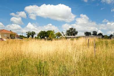 Terrain  19000 €
