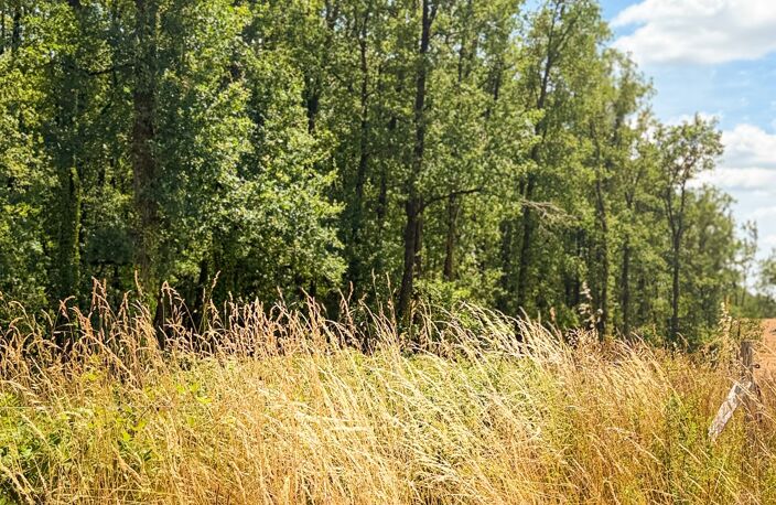 Vente Terrain à bâtir 979 m&sup2; — photo 5