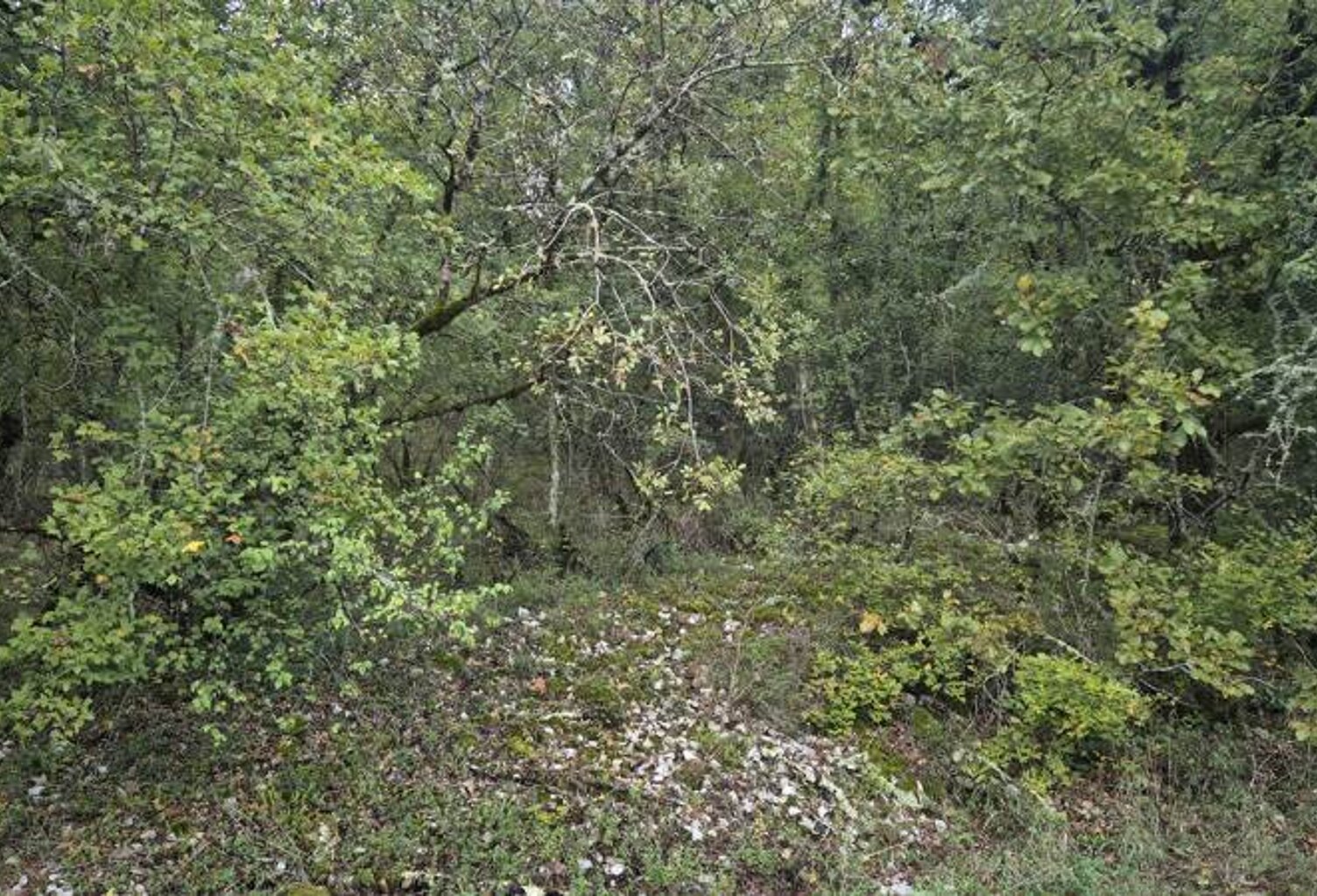 Vente terrain  853 m² Pinsac (46200) — photo 1