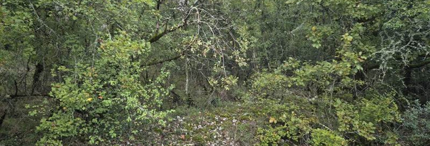 Terrain  853 m² à vendre à Pinsac (46200)
