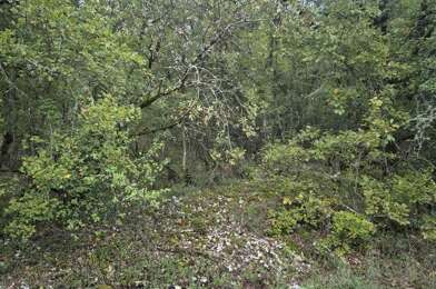 Terrain  42000 €