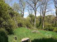 Entre Chatillonnais et Auxois, une propriété Bourguignonne d — photo 3