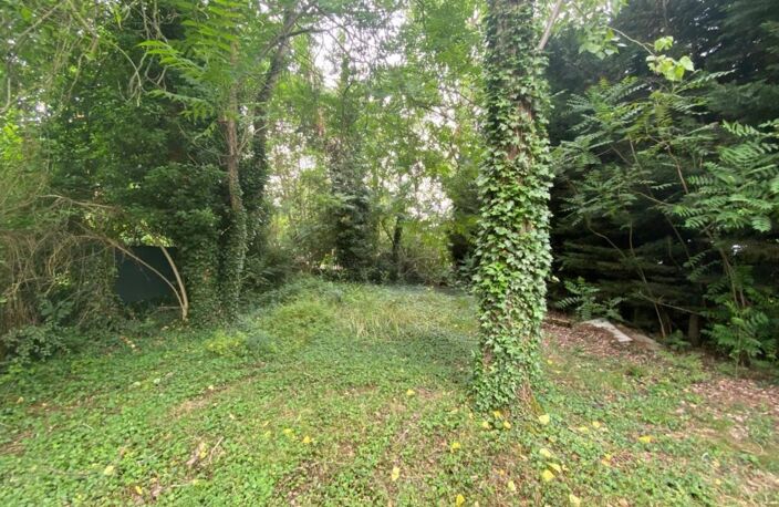 INVESTISSEMENT à ARNOUVILLE (95) - Rue de la GIRONDE - MAISON de 8 pièces de 190 M² sur parcelle de 652 m² — photo 5