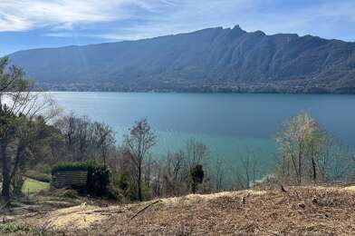 Terrain  990000 €