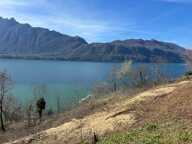 tresserve terrain 1844 m2  vue panoramique sur le lac du Bourget — photo 4