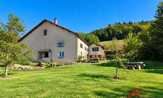 Maison 7 Pièces 260 m² à vendre à Le Val-d'Ajol (88340)