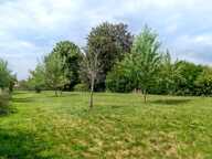Terrain constructible de 20 ares 10 minutes de Villersexel — photo 3