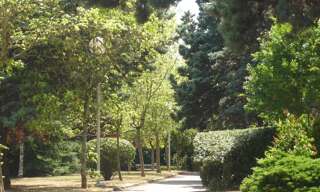 Photo N° 2