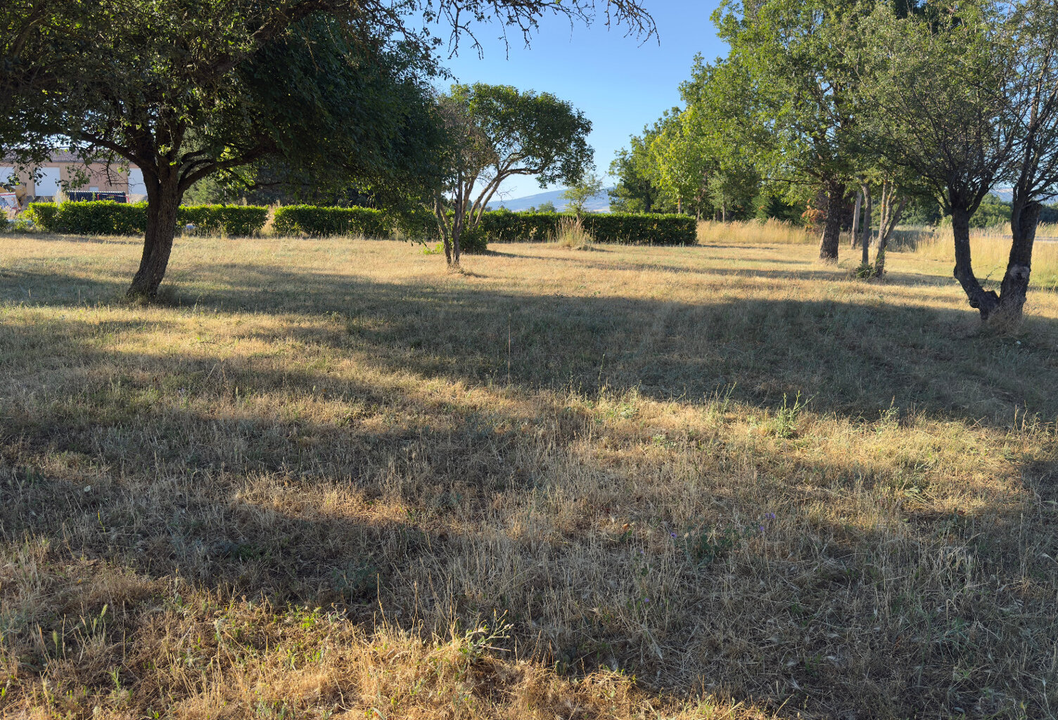 SOUS OFFRE - Terrain de loisir à vendre  SAINT CHRISTOL (84) — photo 1