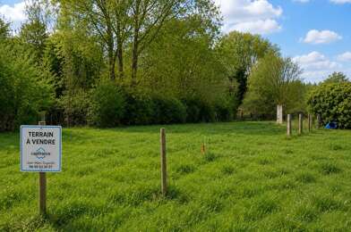 Terrain  59500 €