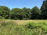 Terrain à vendre de 3 250,00 m² SAINT MARTIN DU VIVIER (76) — photo 3
