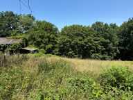 Terrain à vendre de 3 250,00 m² SAINT MARTIN DU VIVIER (76) — photo 4