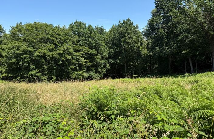 Terrain à vendre de 3 250,00 m² SAINT MARTIN DU VIVIER (76) — photo 5