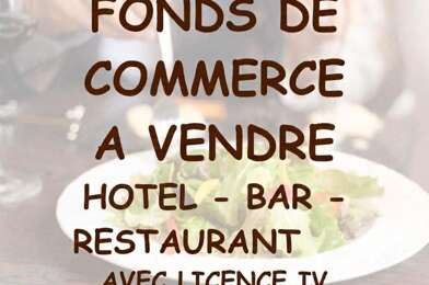 Commerce  233200 €
