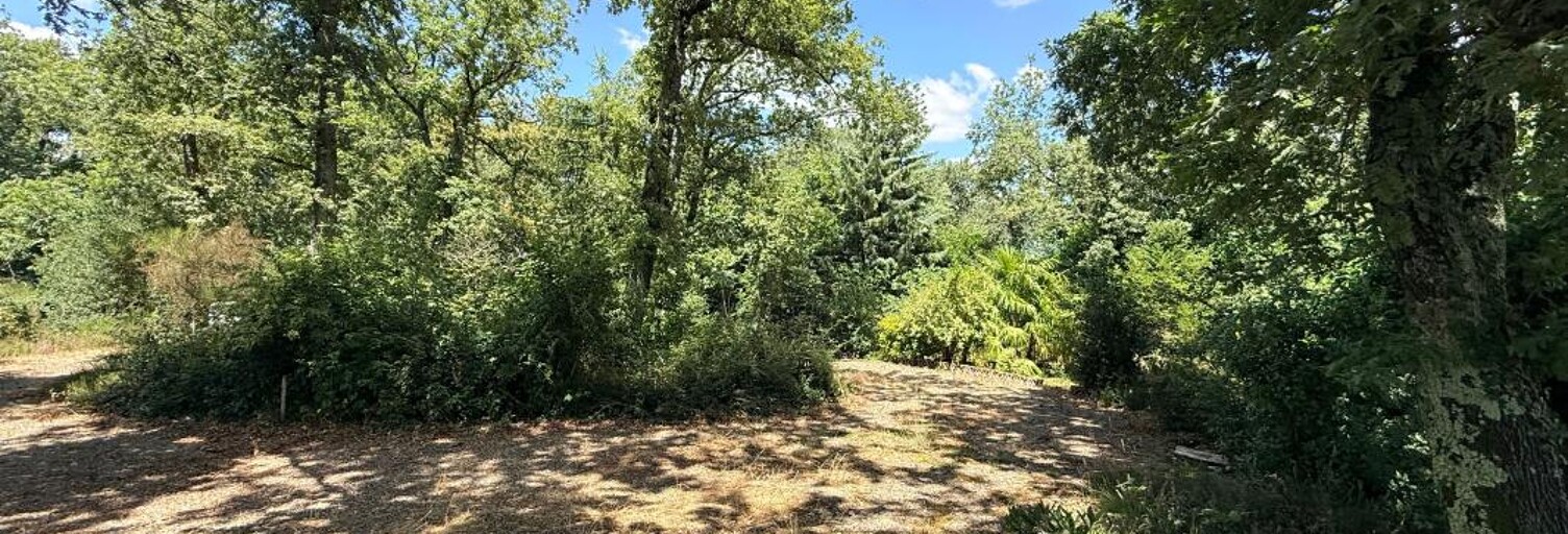 Terrain  8749 m² à vendre à Lannux (32400)