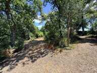 Terrain dans un environnement calme et verdoyant — photo 2