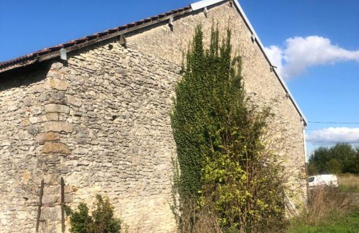 Authentique grange en pierre avec dépendance à réhabiliter - 6470 m² de terrain - Secteur Provins (77) — photo 4