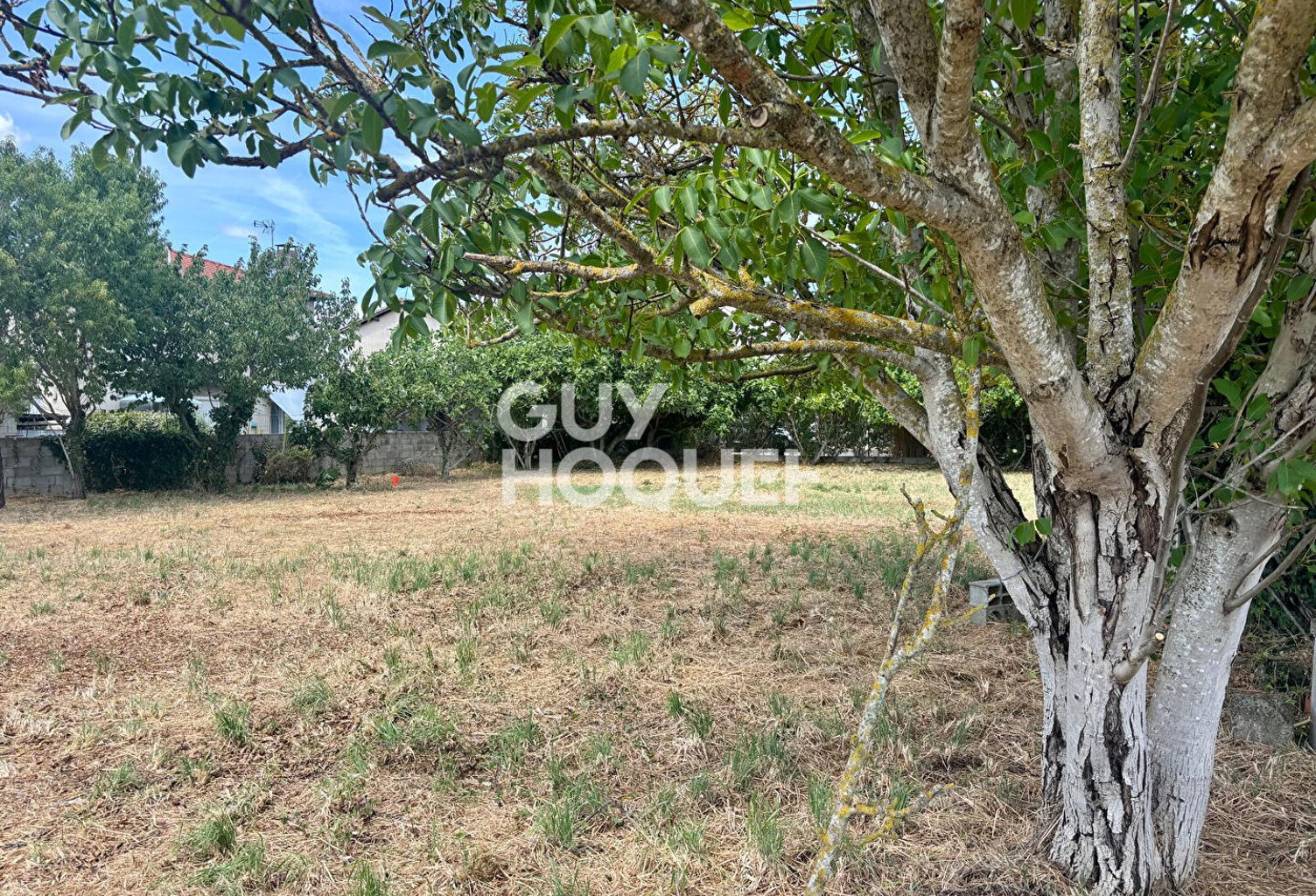 terrain — photo 1