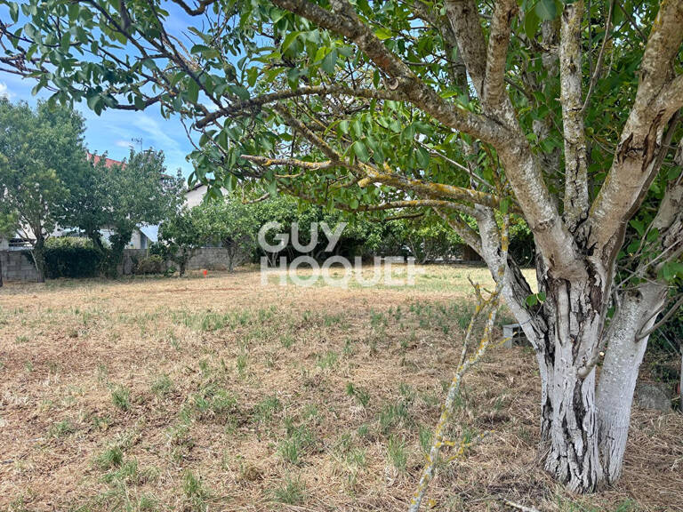 terrain — photo 1