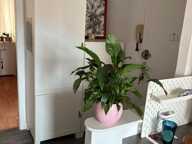 EVREUX - 27000 - APPARTEMENT DE TYPE T3 - RÉSIDENCE SÉCURISÉE - 64 M2 - 133 000 HAI — photo 4