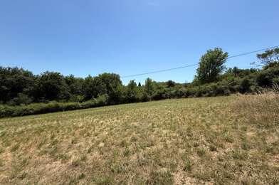 Terrain  29000 €