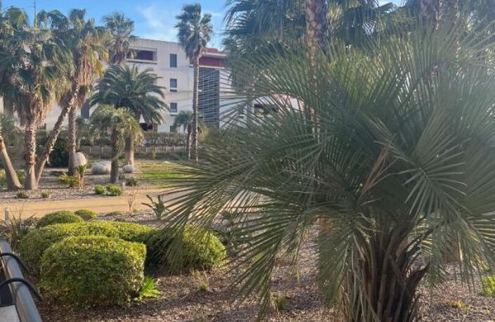 Appartement proche des plages Sete — photo 4
