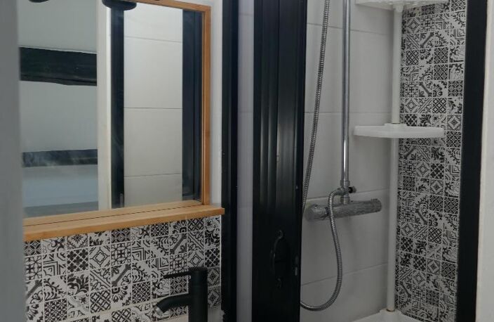 Location appartement 1 pièce 20 m² à Saint-Étienne (42000) — photo 5