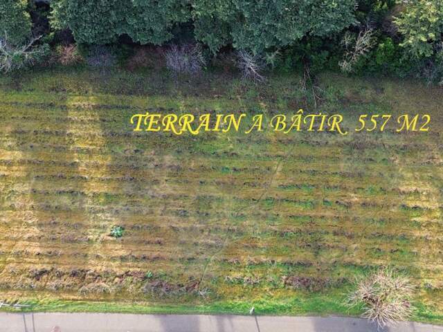 SAINTE CECILE LES VIGNES : TERRAIN  A BÂTIR  DE 557 m2 CHEMIN VIEUX — photo du bien