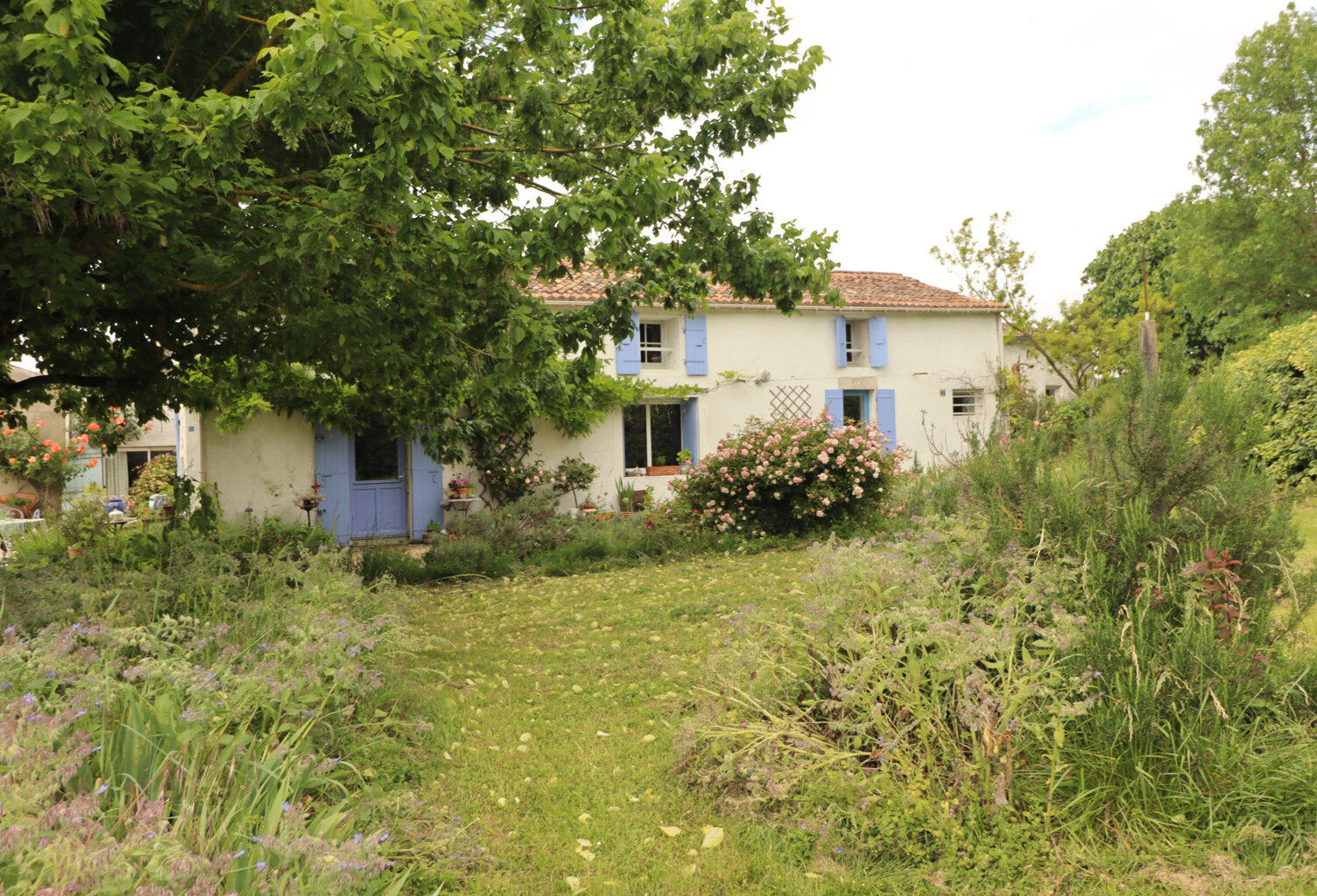 Charentaise + gites proche Meschers. — photo 1
