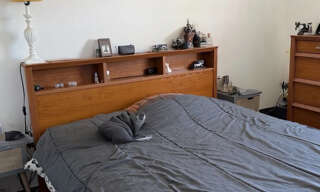 Photo N° 2