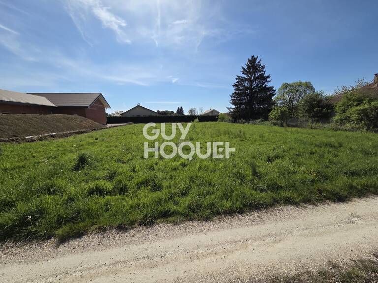 terrain — photo 1
