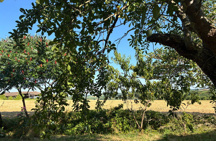 Maison de plain-pied avec vue dégagée sur la campagne, à deux pas de Cancon — photo 5