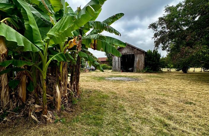 Maison en pierre à la campagne — photo 4
