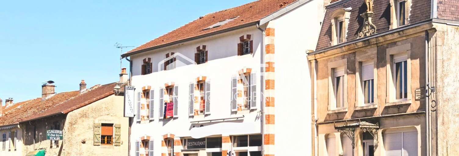 Commerce 9 Pièces 380 m² à vendre à Domrémy-la-Pucelle (88630)