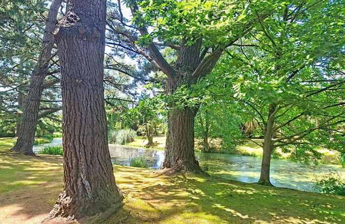 Propriété d'exception à Lannion  Maison d'architecte au cœur d'un parc d'un hectare avec étang — photo 4