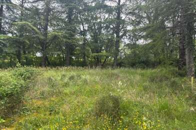 Terrain  48000 €