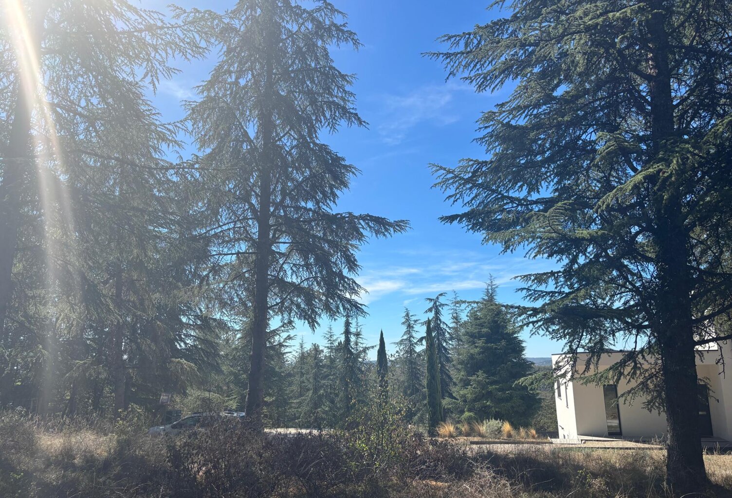 Terrain plat, arboré et viabilisé — photo 1