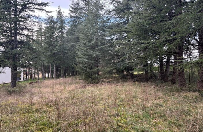 Terrain plat, arboré et viabilisé — photo 2
