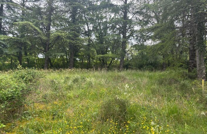 Terrain plat, arboré et viabilisé — photo 3