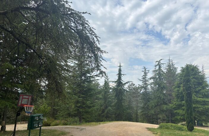 Terrain plat, arboré et viabilisé — photo 4