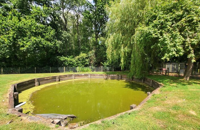 125m² Gonneville-Sur-Mer, 3 ch, 2 garages, Dépendance. — photo 5