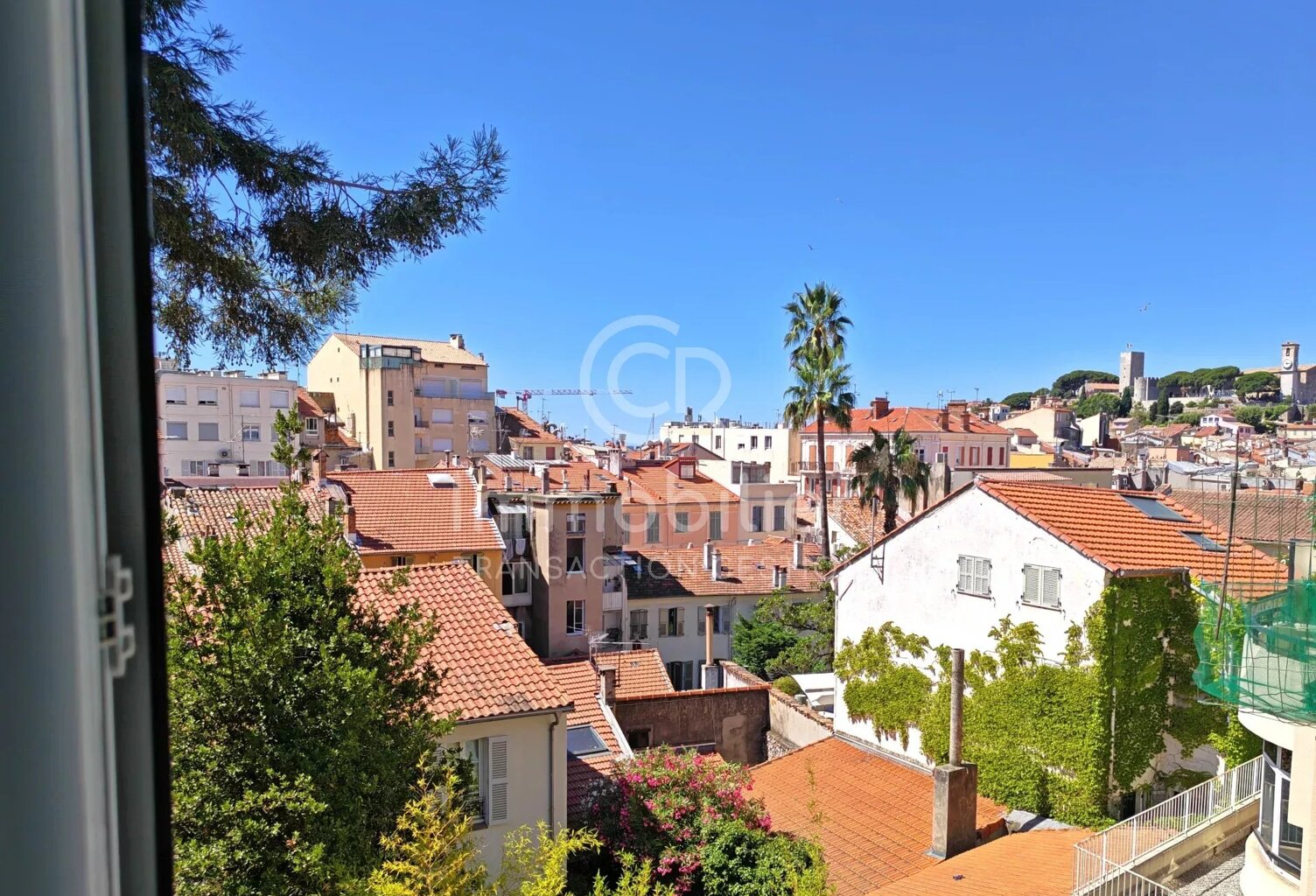 CANNES BANANE - PLAGES 10 MIN — photo 1