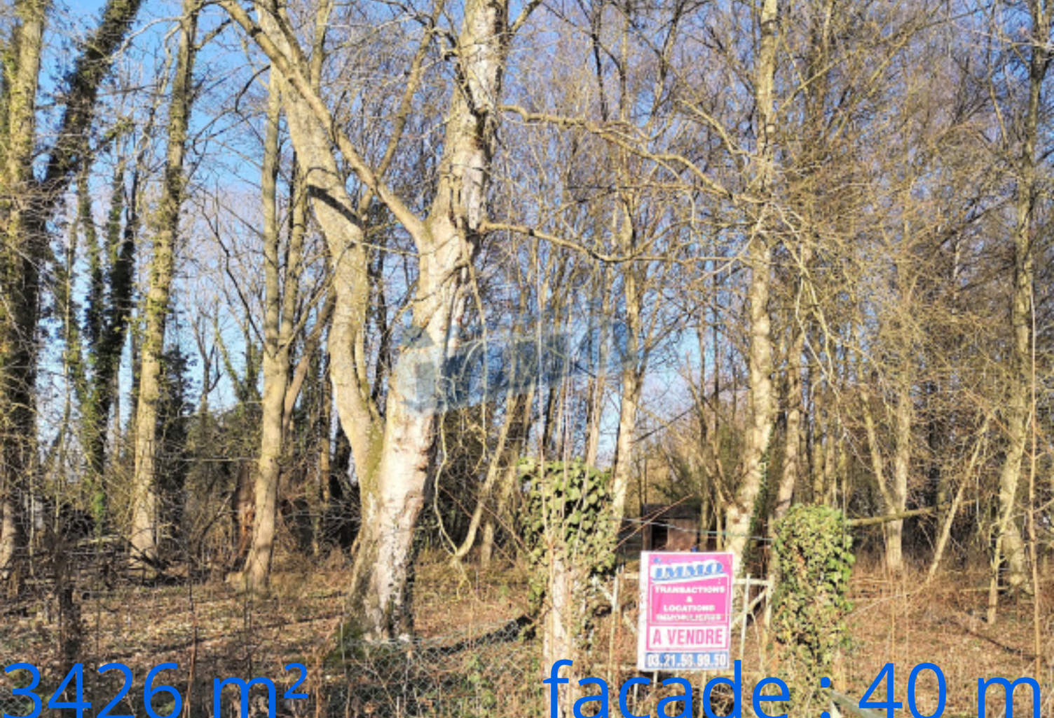Terrain de loisirs et de détente,  Aubigny-en-Artois — photo 1