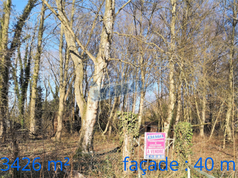 Terrain de loisirs et de détente,  Aubigny-en-Artois — photo 1