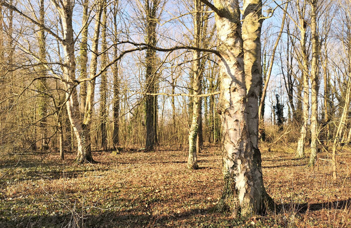 Terrain de loisirs et de détente,  Aubigny-en-Artois — photo 2