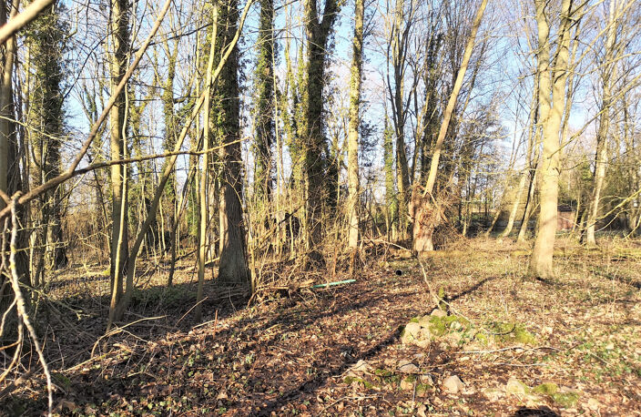 Terrain de loisirs et de détente,  Aubigny-en-Artois — photo 3