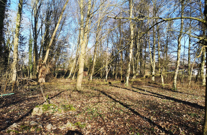 Terrain de loisirs et de détente,  Aubigny-en-Artois — photo 4